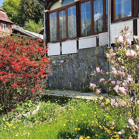 Vila Bradet Buşteni Zewnętrze zdjęcie