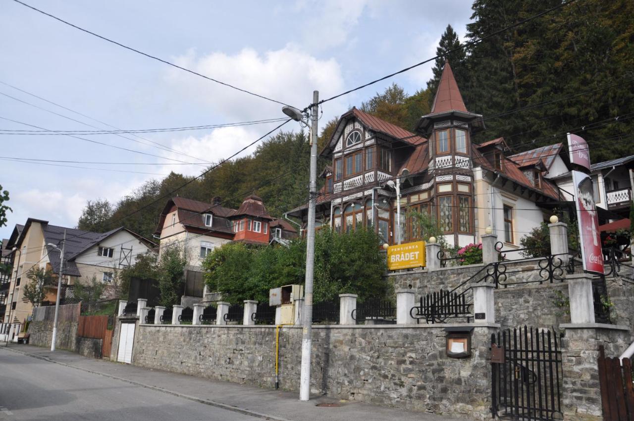 Vila Bradet Buşteni Zewnętrze zdjęcie