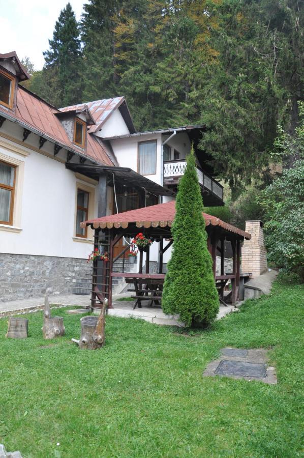 Vila Bradet Buşteni Zewnętrze zdjęcie