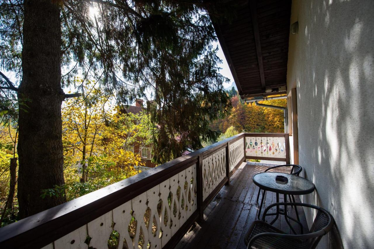 Vila Bradet Buşteni Zewnętrze zdjęcie